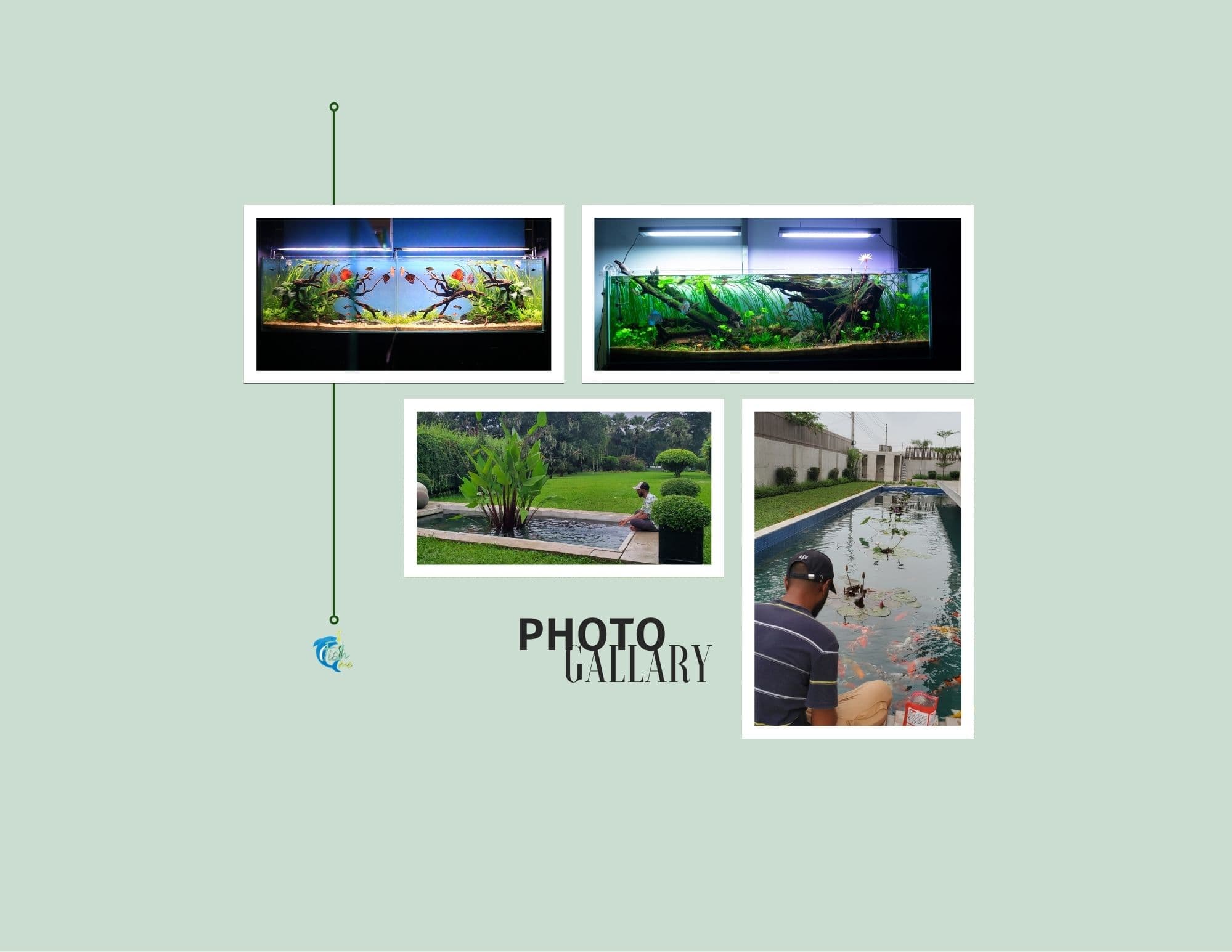 systems helps integrate MABs